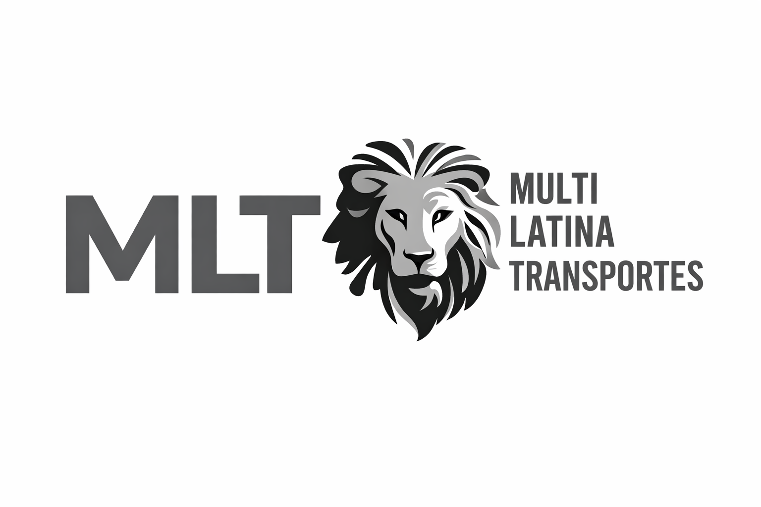 Imagem mlttransportes.png